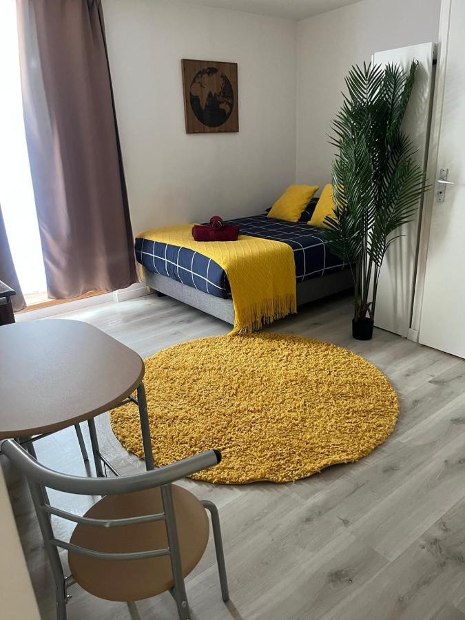 Studio Limbo Chamonix Hyper Centre Vue Imprenable Sur Le Mont-Blanc Εξωτερικό φωτογραφία